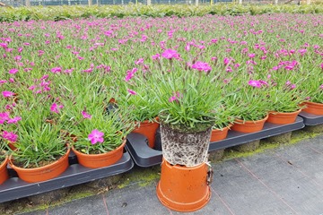 20190607_094021_resized